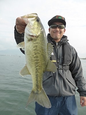 truth news ブログ写真 2014/04/22