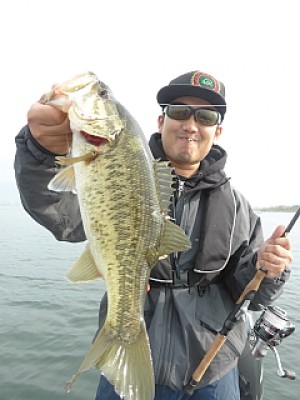 truth news ブログ写真 2014/04/22