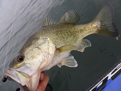 truth news ブログ写真 2014/04/22