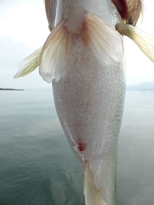 truth news ブログ写真 2014/04/22