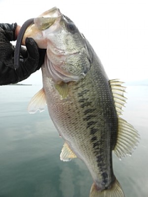 truth news ブログ写真 2014/04/22