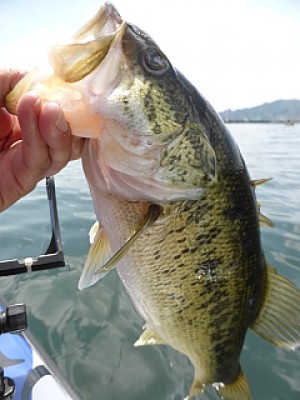 truth news ブログ写真 2014/04/23