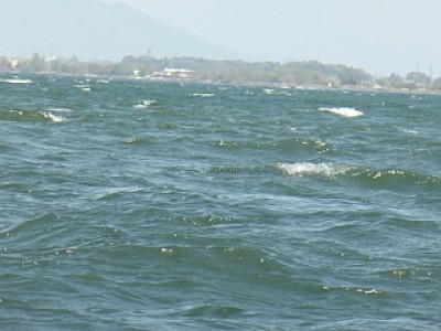 truth news ブログ写真 2014/04/23