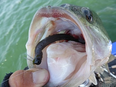 truth news ブログ写真 2014/04/23