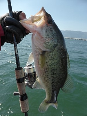 truth news ブログ写真 2014/04/23