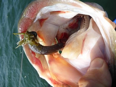 truth news ブログ写真 2014/04/23