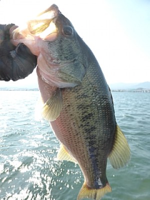 truth news ブログ写真 2014/04/23