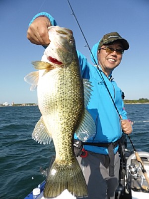 truth news ブログ写真 2014/04/23