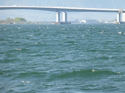 truth news ブログ写真 2014/04/23