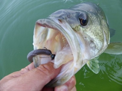 truth news ブログ写真 2014/04/23