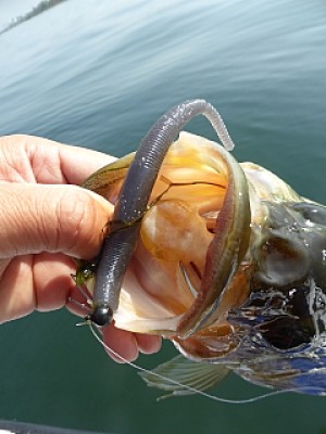 truth news ブログ写真 2014/04/23