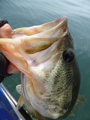 truth news ブログ写真 2014/04/23