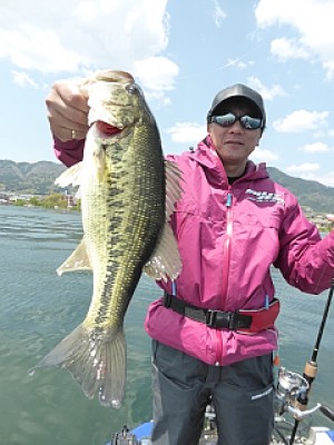 truth news ブログ写真 2014/04/23