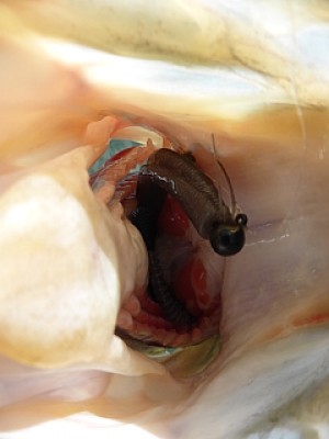 truth news ブログ写真 2014/04/23