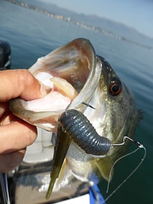 truth news ブログ写真 2014/04/24