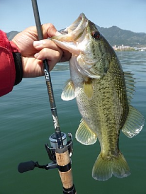 truth news ブログ写真 2014/04/24