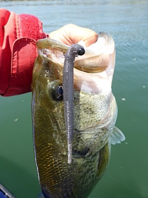 truth news ブログ写真 2014/04/24