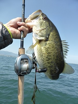 truth news ブログ写真 2014/04/24