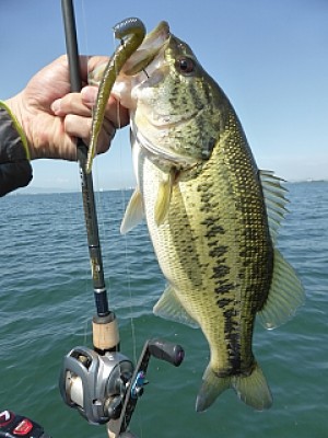 truth news ブログ写真 2014/04/24