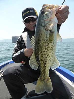 truth news ブログ写真 2014/04/25