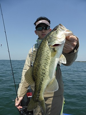 truth news ブログ写真 2014/04/25