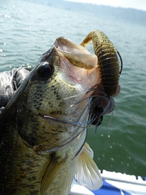 truth news ブログ写真 2014/04/25