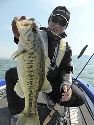 truth news ブログ写真 2014/04/25