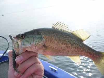 truth news ブログ写真 2014/05/01