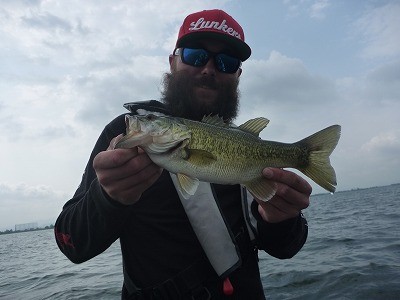 truth news ブログ写真 2014/05/01