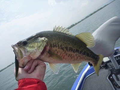 truth news ブログ写真 2014/05/01