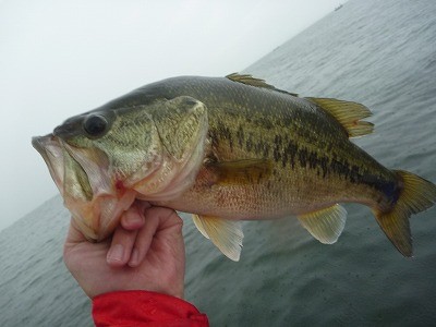 truth news ブログ写真 2014/05/01