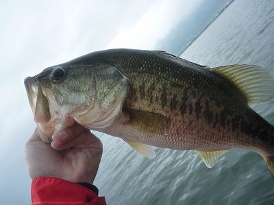 truth news ブログ写真 2014/05/05