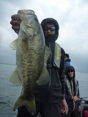 truth news ブログ写真 2014/05/05