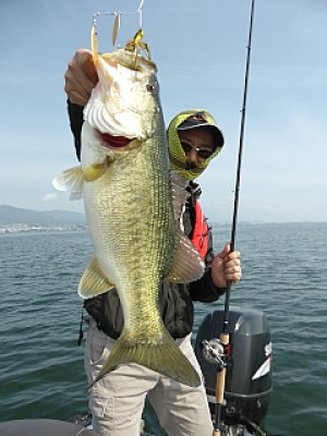 truth news ブログ写真 2014/05/08