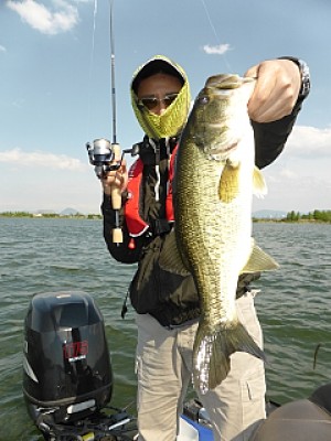 truth news ブログ写真 2014/05/08