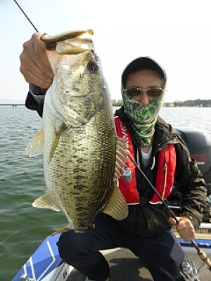 truth news ブログ写真 2014/05/09