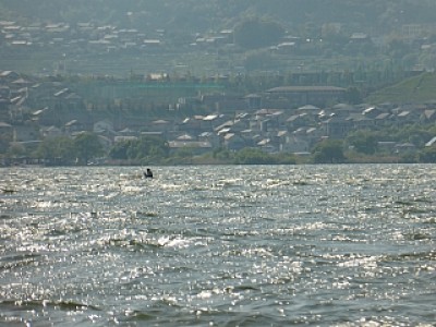 truth news ブログ写真 2014/05/10