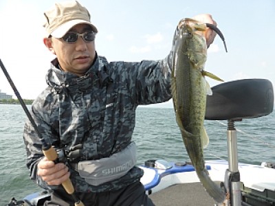 truth news ブログ写真 2014/05/10