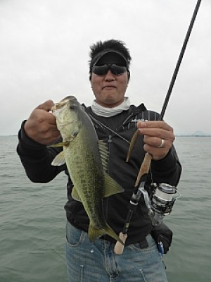 truth news ブログ写真 2014/05/14