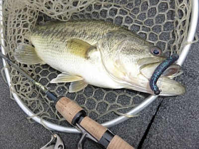 truth news ブログ写真 2014/05/15