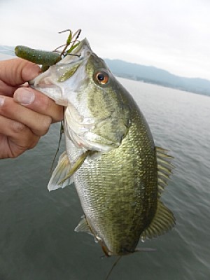 truth news ブログ写真 2014/05/15