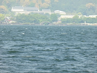 truth news ブログ写真 2014/05/16