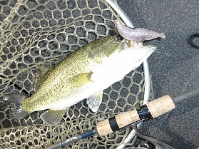 truth news ブログ写真 2014/05/16