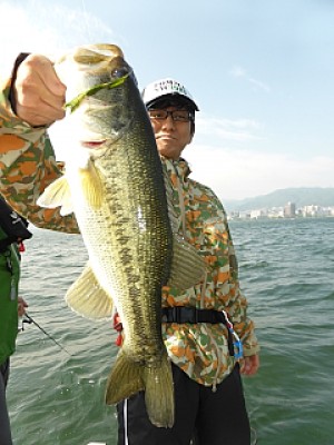 truth news ブログ写真 2014/05/16