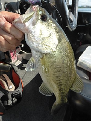 truth news ブログ写真 2014/05/17