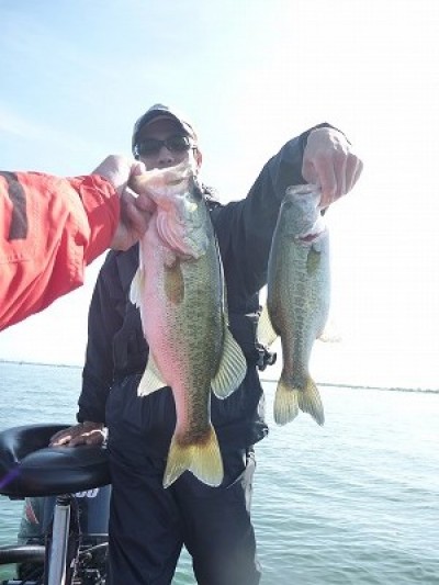 truth news ブログ写真 2014/05/18