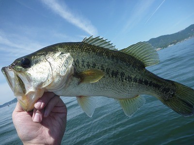 truth news ブログ写真 2014/05/18