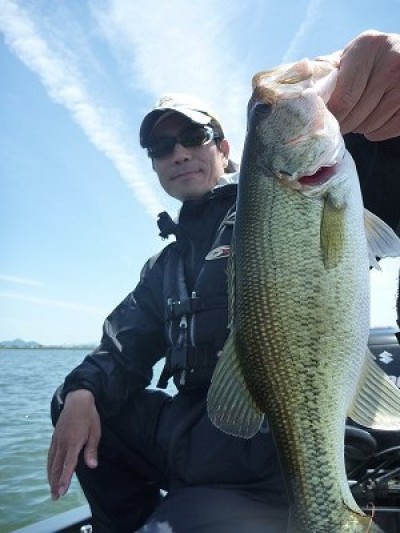 truth news ブログ写真 2014/05/18