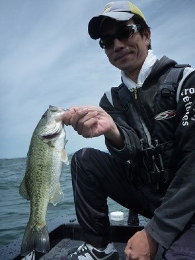 truth news ブログ写真 2014/05/18