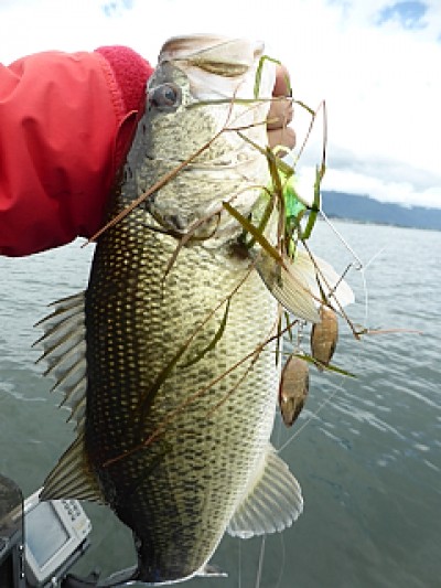 truth news ブログ写真 2014/05/21